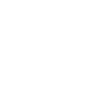 veterinary animal cdmo